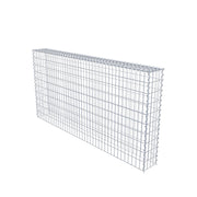 Anbaugabione Typ 3 200 cm x 100 cm x 20 cm (L x H x T), Maschenweite 5 cm x 10 cm, Spirale