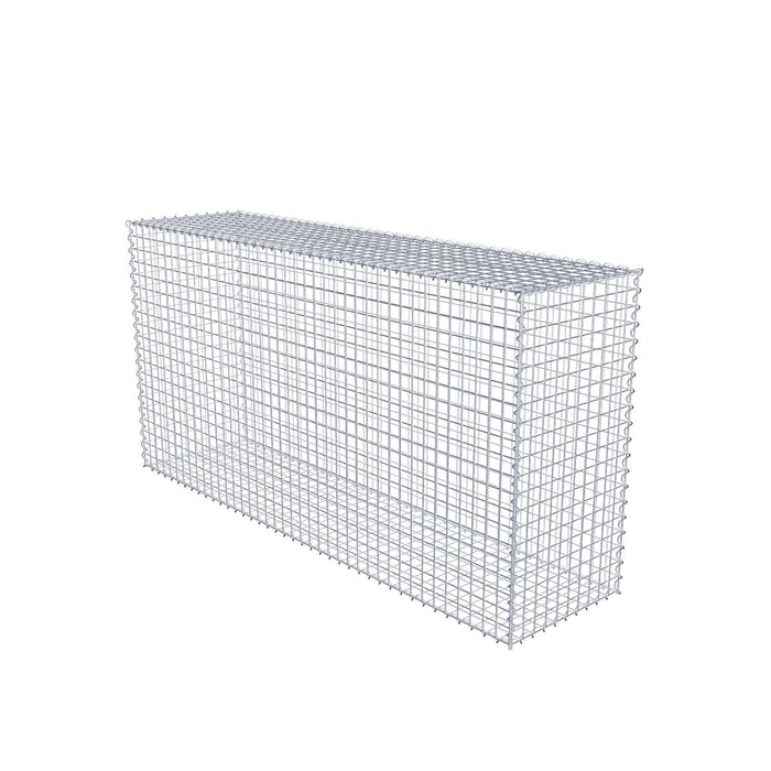 Gabione 200 cm x 100 cm x 50 cm (L x H x T), Maschenweite 5 cm x 5 cm, Spirale