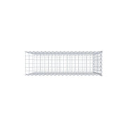 Anbaugabione Typ 2 100 cm x 90 cm x 30 cm (L x H x T), Maschenweite 5 cm x 10 cm, Spirale
