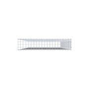 Anbaugabione Typ 2 200 cm x 100 cm x 20 cm (L x H x T), Maschenweite 5 cm x 5 cm, C-Ring