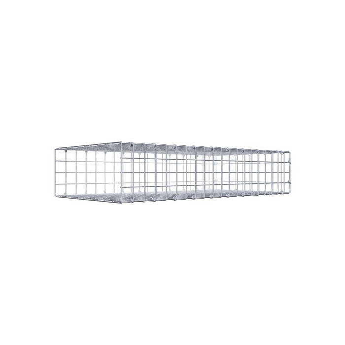 Gabione 05x05 100x020x050 Typ2 C-Ring