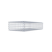 Gabione 100 cm x 20 cm x 50 cm (L x H x T), Maschenweite 5 cm x 5 cm, Spirale
