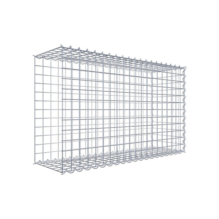 Gabione 05x05 100x060x030 Typ2 Spiral