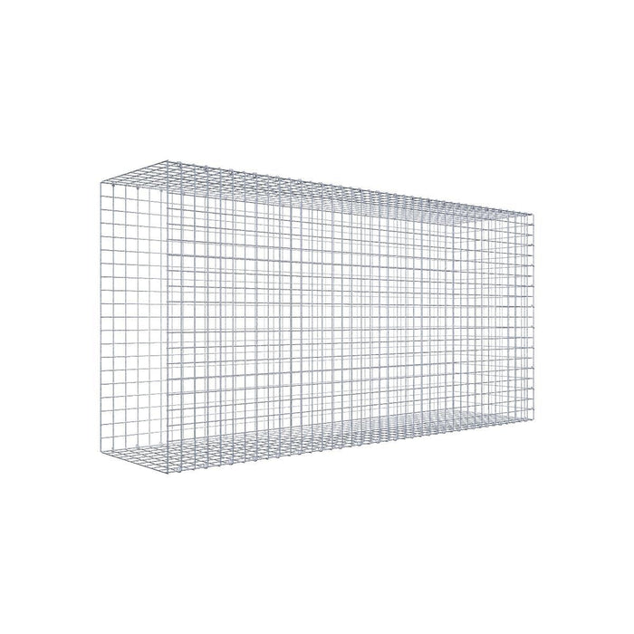 Gabione 05x05 200x100x050 Typ2 C-Ring