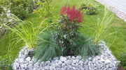 Kuvido Rostbeständiges Hochbeet Rechteckig 120cm x 50cm x 50cm  Langlebiges verzinktes Metallgitter 4 mm, 5x5 cm Maschenweite  Stabiler Pflanzkasten für Blumen, Kräuter und Gemüsegärten