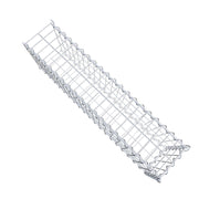Anbaugabione Typ 2 100 cm x 30 cm x 20 cm (L x H x T), Maschenweite 5 cm x 10 cm, Spirale