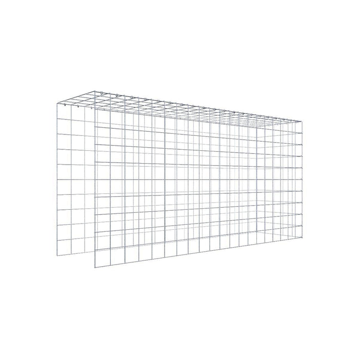 Gabione 10x10 200x100x050 Typ4 C-Ring