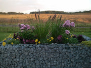 Hochbeet eckig 200 cm x 100 cm x 100 cm (L x H x T), Maschenweite 5 x 5 cm, Wandstärke 10 cm