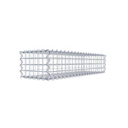 Gabione 100 cm x 20 cm x 30 cm (L x H x T), Maschenweite 5 cm x 5 cm, Spirale