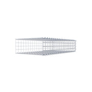 Anbaugabione Typ 2 100 cm x 20 cm x 50 cm (L x H x T), Maschenweite 5 cm x 5 cm, Spirale