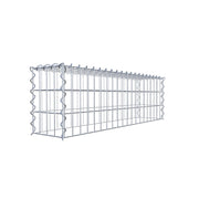 Anbaugabione Typ 3 100 cm x 30 cm x 20 cm (L x H x T), Maschenweite 5 cm x 10 cm, Spirale