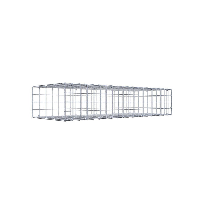Gabione 05x05 100x020x040 Typ2 C-Ring