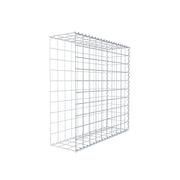 Anbaugabione Typ 2 100 cm x 100 cm x 30 cm (L x H x T), Maschenweite 10 cm x 10 cm, Spirale
