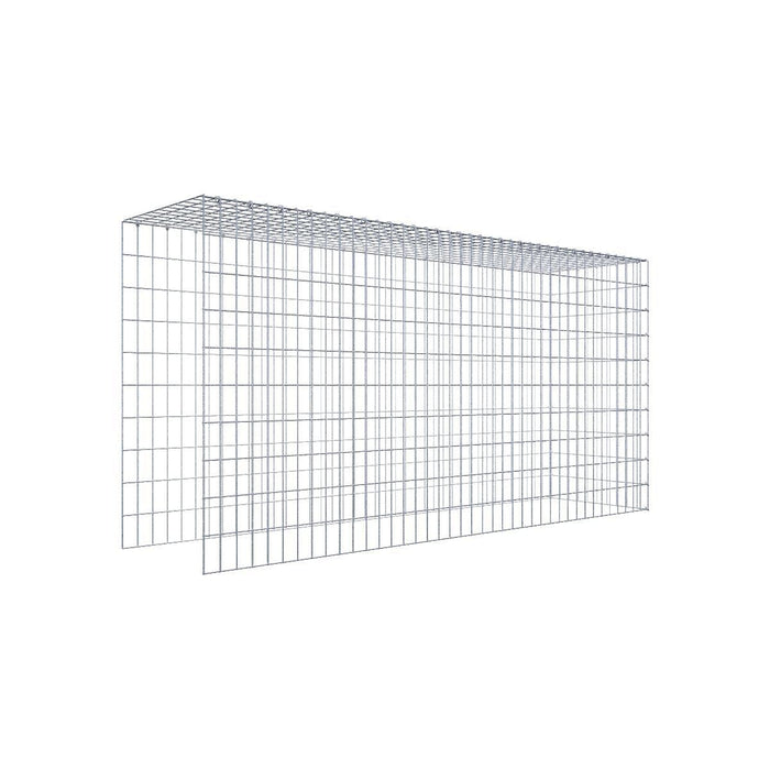 Gabione 05x10 200x100x050 Typ4 C-Ring
