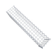 Anbaugabione Typ 4 100 cm x 30 cm x 20 cm (L x H x T), Maschenweite 5 cm x 10 cm, Spirale