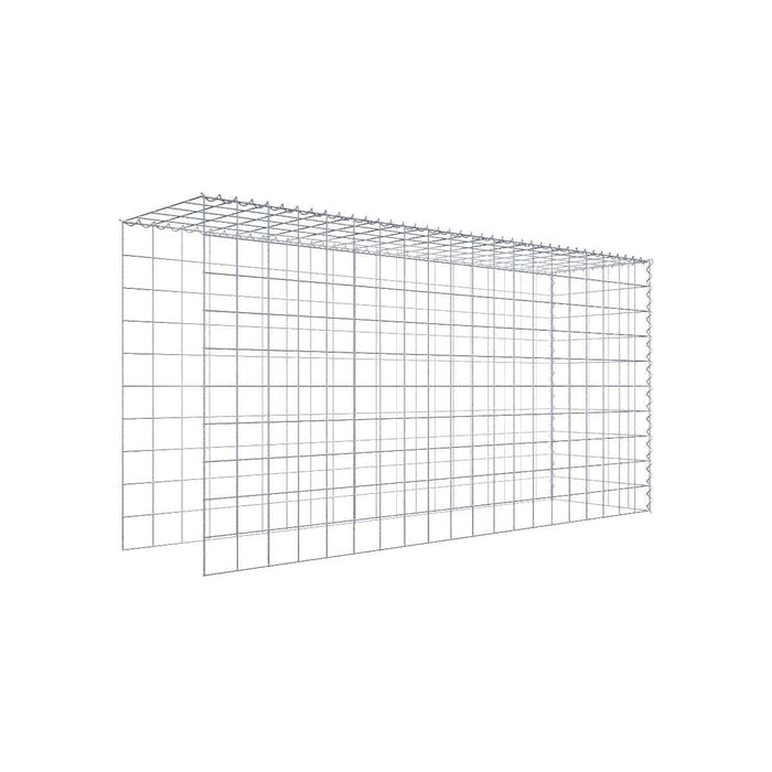 Gabione 10x10 200x100x050 Typ4 Spiral
