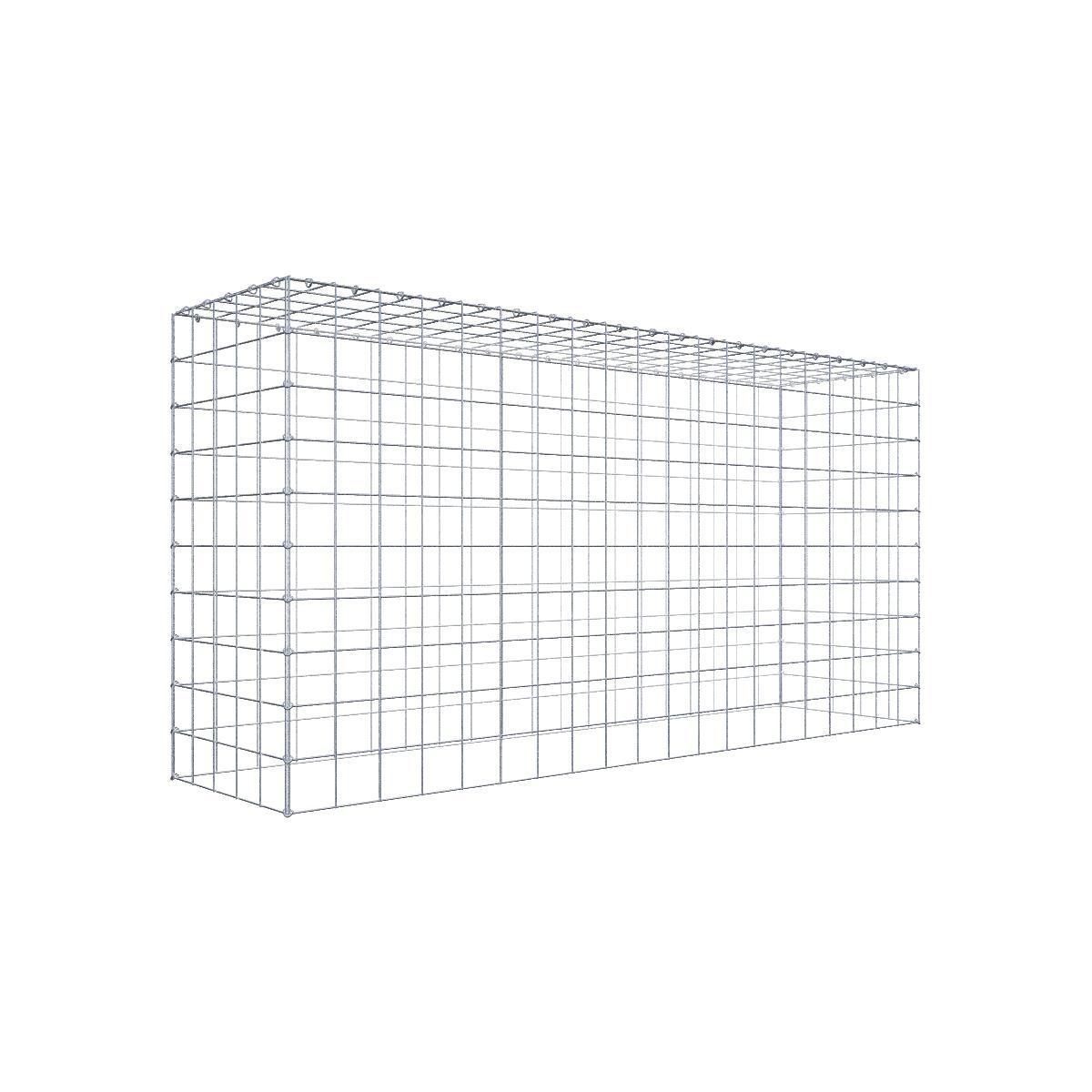 Gabione 10x10 200x100x050 Typ3 C-Ring