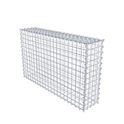 Gabione 100 cm x 60 cm x 20 cm (L x H x T), Maschenweite 5 cm x 5 cm, Spirale