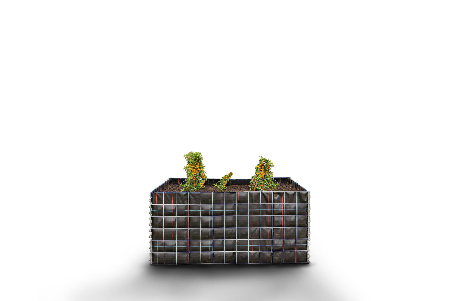 Hochbeet eckig ohne Steinbereich - Länge: 130 cm - Höhe: 60 cm - Tiefe: 60 cm - Maschenweite: 10 x 10 cm